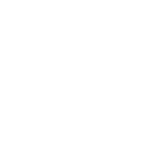 quizviz