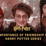 The Importance of Friendship in the Harry Potter Series